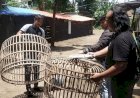 Komitmen-Berantas-Perjudian,-Polres-Nganjuk-Bongkar-Arena-Sabung-Ayam