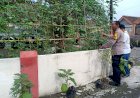 Bhabinkamtibmas-Desa-Kenongo-Ajak-Warga-Dukung-Program-Ketahanan-Pangan-Melalui-Pemanfaatan-Pekarangan-Sayuran