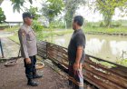 Bhabinkamtibmas-Polsek-Sukodono-Masifkan-Pengelahan-Kolam-Ikan-Lele-di-Desa-Pademonegoro