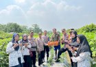 Kapolsek-Taman-Terima-Peninjauan-Polresta-Sidoarjo-di-Desa-Penggerak-Ketahanan-Pangan