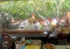 Pura-Kertha-Bumi-Bhayangkara-Gelar-Ibadah-Suci-Tilem