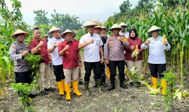 Kapolsek-Porong-dan-Warga-Gelar-Panen-Raya-Jagung-di-Pekarangan-Bergizi-Lapas-Kelas-I-Surabaya