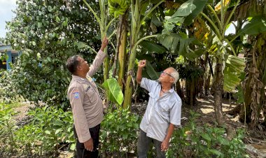 Bhabinkamtibmas-Desa-Kalanganyar-Tinjau-Lahan-Tanaman-Pisang-untuk-Swasembada-Pangan