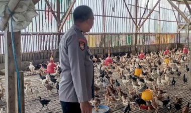 Bhabinkamtibmas-Desa-Mulyodadi-Dukung-Ketahanan-Pangan-Lewat-Tinjauan-Peternakan-Warga