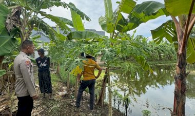 Bhabinkamtibmas-Siwalanpanji-Imbau-Petambak-Ikan-Perhatikan-Ketersediaan-Pakan-Alami-untuk-Sukseskan-Ketahanan-Pangan-Nasional-Saat-Panen