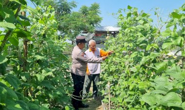 Bhabinkamtibmas-Polsek-Balongbendo-Semangati-Warga-Kembangkan-Tanaman-Hortikultura