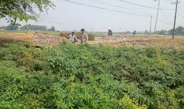 Polsek-Tarik-Gencarkan-Sambang-Desa,-Dampingi-Petani-Cabai