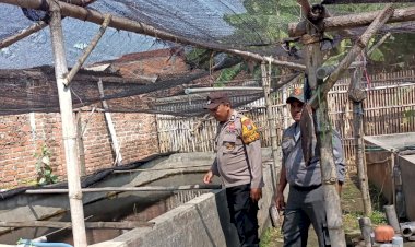 Polsek-Tarik-Lakukan-Patroli-Ketahanan-Pangan-di-Desa-Mergosari