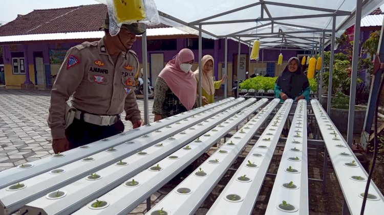 Bhabinkamtibmas Kalidawir Polsek Tanggulangin Sambangi Warga yang Kelola Lahan Pekarangan Bergizi