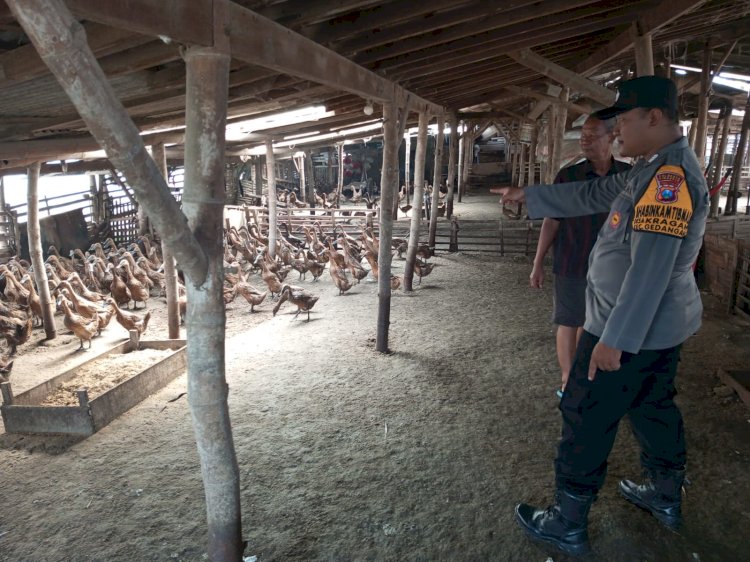 Bhabinkamtibmas Desa Kragan Bersama Perangkat Desa Cek Program Ketahanan Pangan Peternakan Bebek Petelur