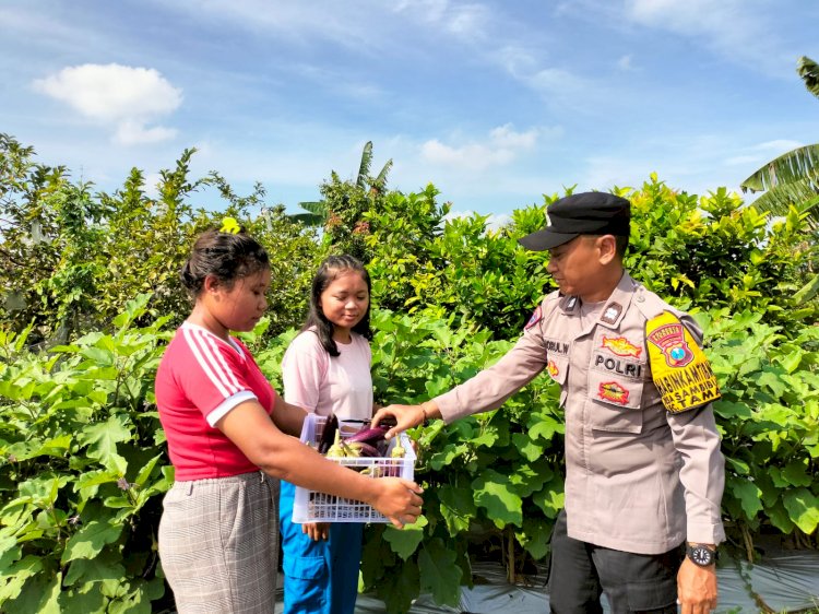 Bhabinkamtibmas Desa Sambibulu Taman Mengecek Tanaman Hortikultura Warga