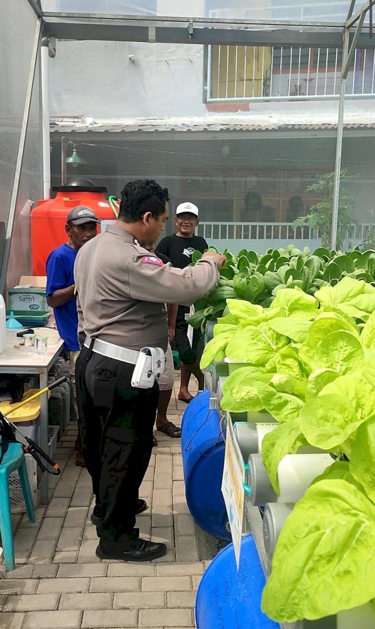 Polisi Apresiasi Warga Kembangkan Hortikultura di Green House Ketahanan Pangan Desa Kletek Sidoarjo