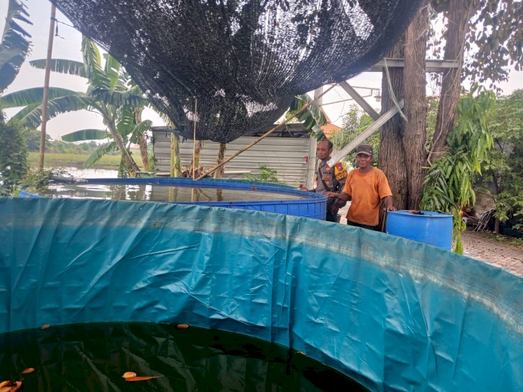 Polsek Candi Cek Ketahanan Pangan Program P2B di Desa Wedoro Klurak