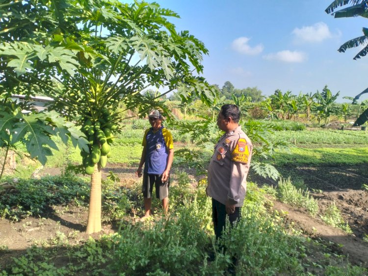 Bhabinkamtibmas Desa Jiken Dukung Ketahanan Pangan Lewat Pendataan Kendala Lahan Pekarangan
