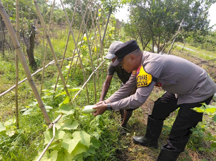 Sinergi Polri dan Warga Sidoarjo Wujudkan Ketahanan Pangan dari Pekarangan Rumah
