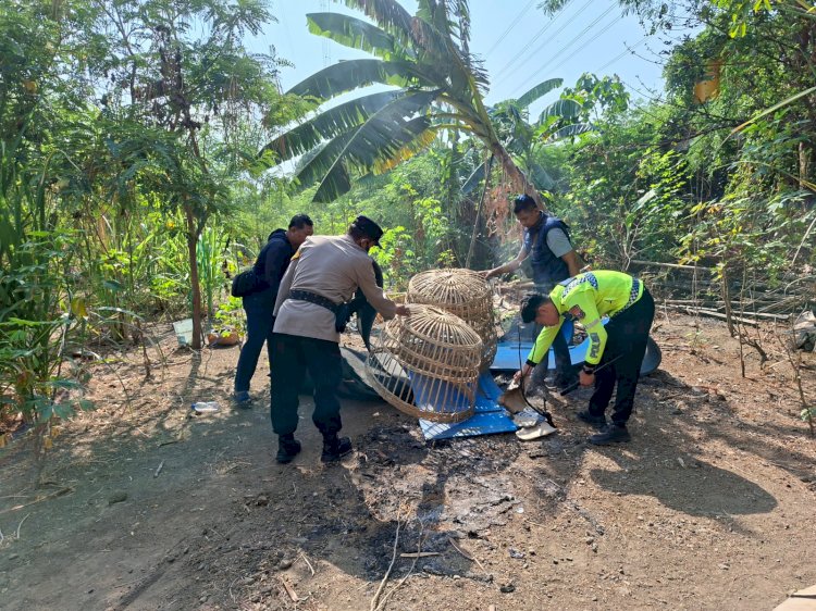 Polsek Waru Turun Langsung Tindaklanjuti Informasi Arena Sabung Ayam di Desa Bungurasih