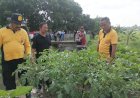 Kapolsek-Krian-Turun-Langsung-Cek-Ketahanan-Pangan-di-Desa-Junwangi