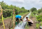 Warga-Sambisari-Antusias-Tanam-Hortikultura-Dukung-Ketahanan-Pangan