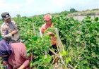 Bhabinkamtibmas-Desa-Kupang-Sambangi-Warga,-Dukung-Pekarangan-Pangan-Bergizi-(P2B)