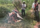 Respon-Aduan-Warga,-Polsek-Prambon-Datangi-Lokasi-Sabung-Ayam-di-Desa-Jatikalang