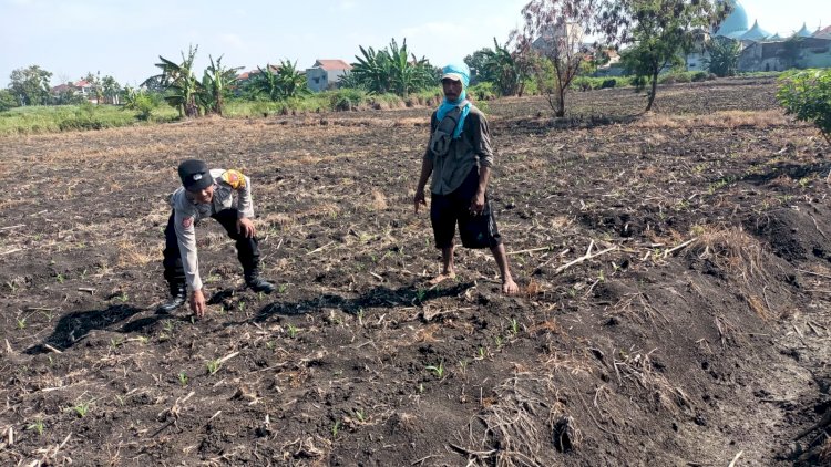 Kapolsek Taman Optimalkan Peran Bhabinkamtibmas Jalankan Ketahanan Pangan